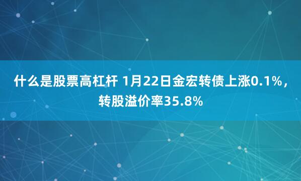 什么是股票高杠杆 1月22日金宏转债上涨0.1%,转股溢价率35.8%