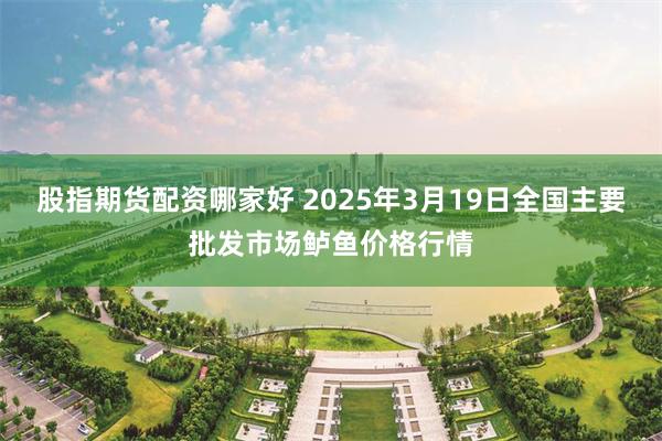 股指期货配资哪家好 2025年3月19日全国主要批发市场鲈鱼价格行情