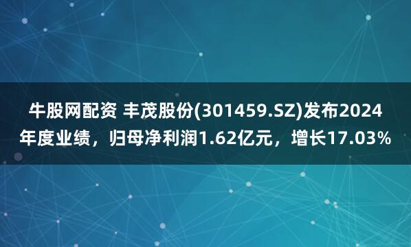 牛股网配资 丰茂股份(301459.SZ)发布2024年度业绩,归母净利润1.62亿元,增长17.03%