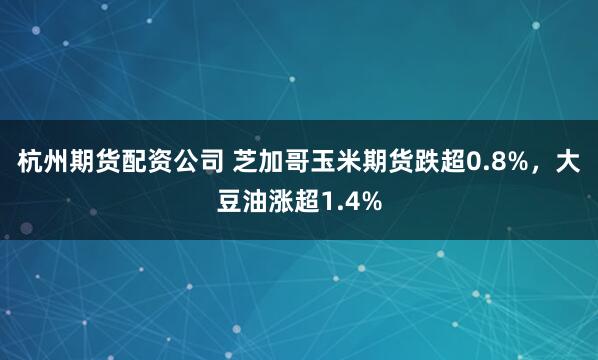 杭州期货配资公司 芝加哥玉米期货跌超0.8%，大豆油涨超1.4%