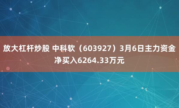 放大杠杆炒股 中科软（603927）3月6日主力资金净买入6264.33万元