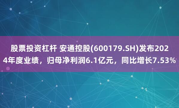 股票投资杠杆 安通控股(600179.SH)发布2024年度业绩，归母净利润6.1亿元，同比增长7.53%