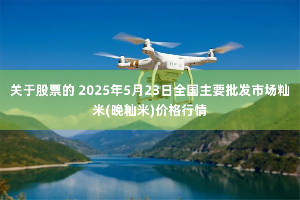 关于股票的 2025年5月23日全国主要批发市场籼米(晚籼米)价格行情