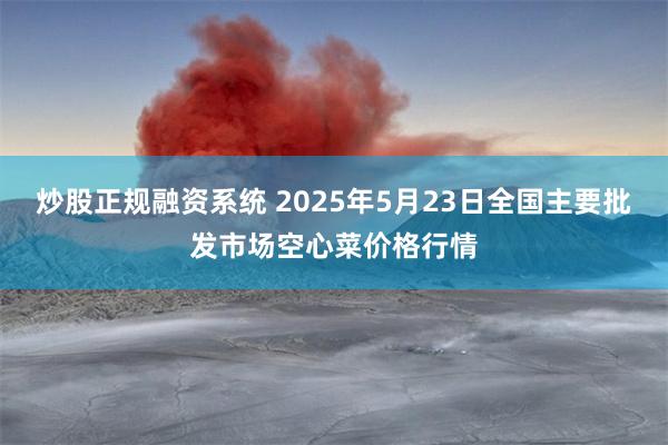 炒股正规融资系统 2025年5月23日全国主要批发市场空心菜价格行情