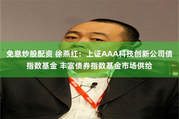 免息炒股配资 徐燕红:上证AAA科技创新公司债指数基金 丰富债券指数基金市场供给