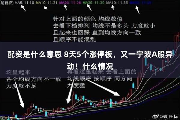 配资是什么意思 8天5个涨停板,又一宁波A股异动!什么情况