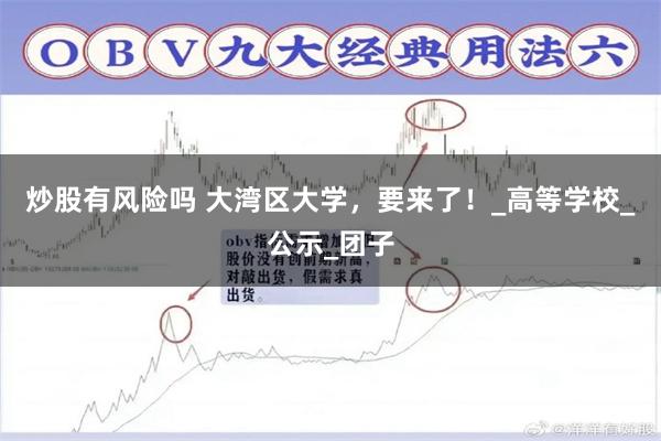 炒股有风险吗 大湾区大学，要来了！_高等学校_公示_团子