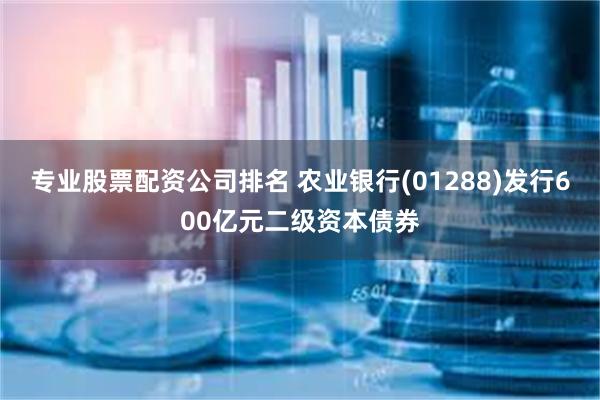 专业股票配资公司排名 农业银行(01288)发行600亿元二级资本债券