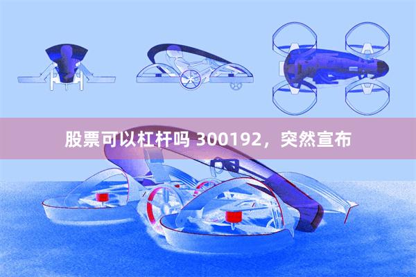 股票可以杠杆吗 300192，突然宣布